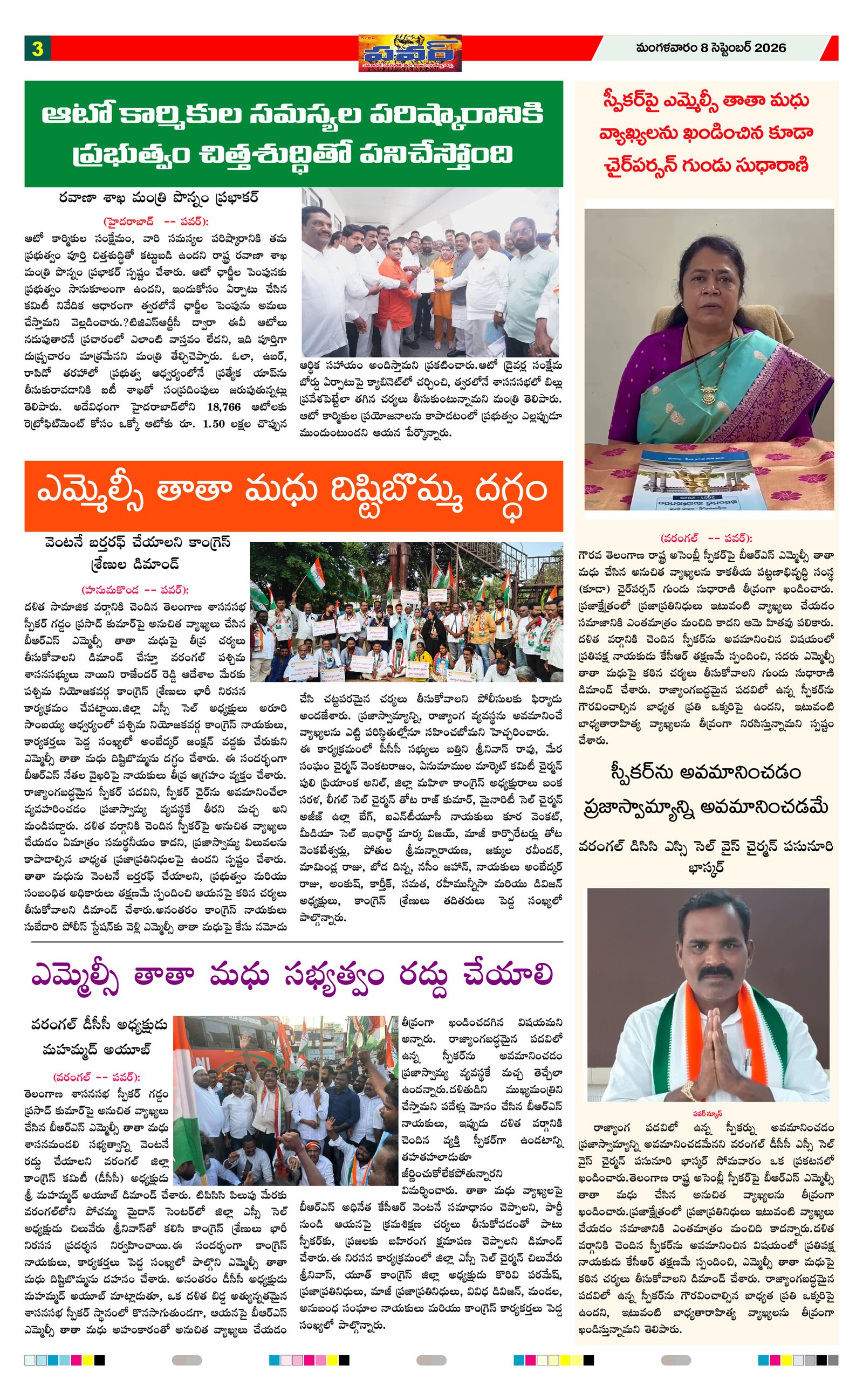 Page 3 thumbnail
